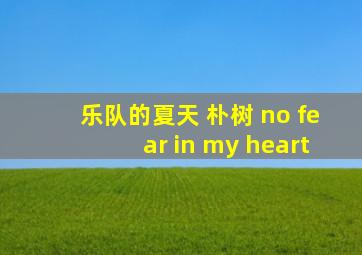 乐队的夏天 朴树 no fear in my heart